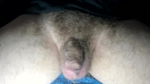 mr taco online show from 02-13-25, 03:35