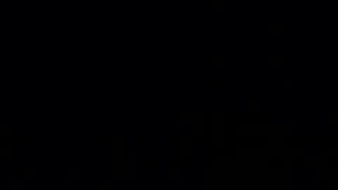 mr taco online show from 12-01-25, 08:14