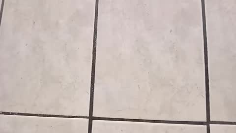 tall6feet7inch online show from 09-28-25, 08:03