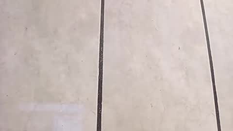 tall6feet7inch online show from 10-06-25, 12:02