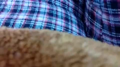 Snapshot of taniya_roy4628 chatting on 02-12-26, 02:50 taniya_roy4628 online show from 02-12-26, 02:50