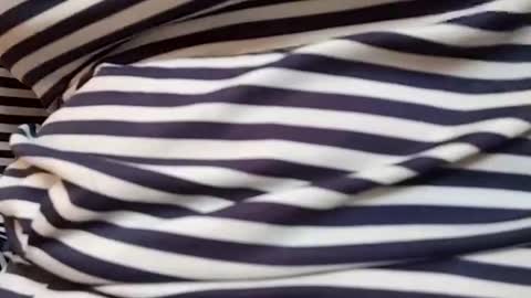 Snapshot of taniya_roy4628 chatting on 03-01-26, 04:14 taniya_roy4628 online show from 03-01-26, 04:14