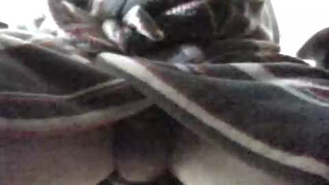 Patrick online show from 02-16-25, 07:48