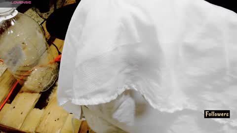 instagram Gattitasha online show from 02-26-25, 12:38