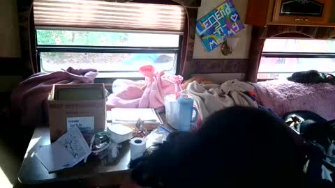 tastycakes999 online show from 11-18-25, 06:45