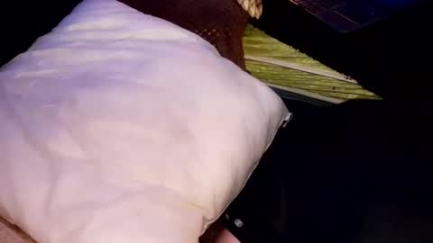 Snapshot of tattooman777 chatting on 10-31-25, 06:58 Jean pool online show from 10-31-25, 06:58