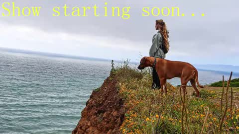 Snapshot of tatum__kahlo chatting on 02-02-25, 11:21 TATUM  ALL MY LINKS  online show from 02-02-25, 11:21