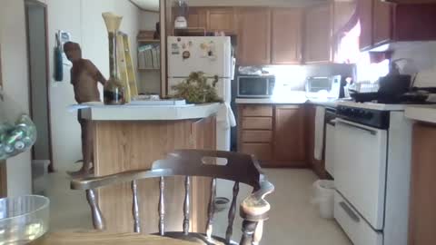 Teak online show from 10-01-25, 08:15