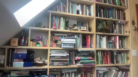 Terra Worship Findomme online show from 03-03-25, 06:01