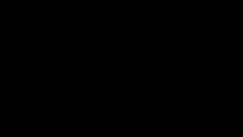 CJ online show from 12-19-24, 06:01