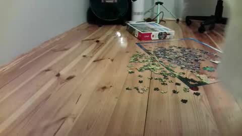 Stephan 34  Cassandra 25 online show from 09-19-25, 09:26