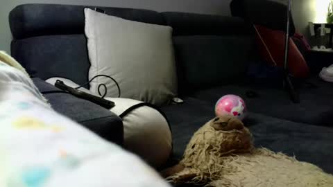 Stephan 34  Cassandra 25 online show from 04-08-26, 09:04