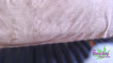 TheBeeJayShow online show from 12-04-24, 05:05