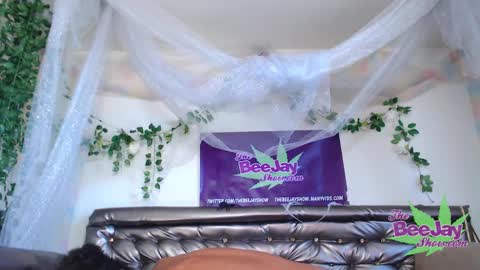 TheBeeJayShow online show from 12-04-24, 09:57