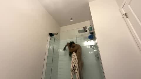 king capo thee online show from 12-26-24, 10:52