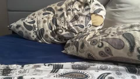 Snapshot of theeshooterr chatting on 12-05-24, 06:22 theeshooterr online show from 12-05-24, 06:22