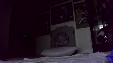 thegreat6268469 online show from 01-31-25, 12:40