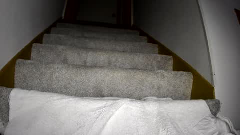 thegreat6268469 online show from 03-09-25, 12:10