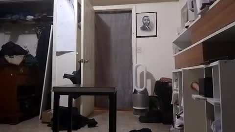 Arching4Life online show from 12-20-24, 11:10