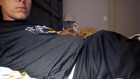 Snapshot of themattryan chatting on 05-19-26, 03:57 Matt Ryan online show from 05-19-26, 03:57