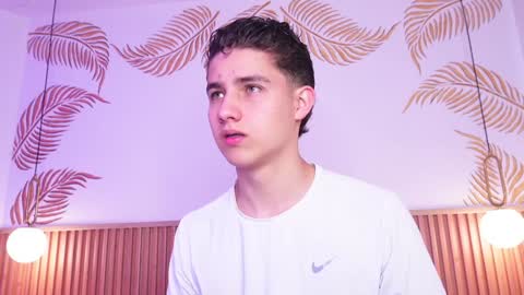 Snapshot of theohawke_ chatting on 01-25-25, 01:52 THEO- MATEO online show from 01-25-25, 01:52