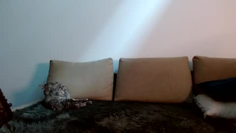 Snapshot of therealkingyoshi chatting on 01-11-25, 09:25 Yoshi online show from 01-11-25, 09:25