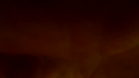 Snapshot of therealkingyoshi chatting on 01-25-25, 11:22 Yoshi online show from 01-25-25, 11:22