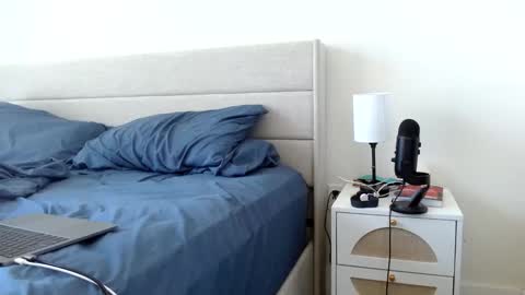 Snapshot of therealkingyoshi chatting on 03-07-25, 08:22 Yoshi online show from 03-07-25, 08:22