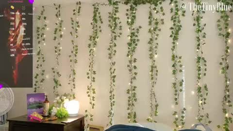 Tiny Blue online show from 02-12-25, 05:48