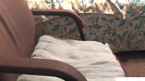 thetnguy online show from 04-20-26, 12:46