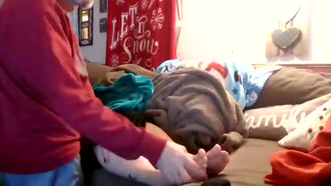 mellow online show from 12-28-24, 12:04