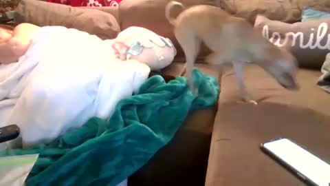 mellow online show from 02-05-25, 03:55