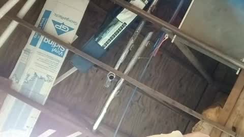 Snapshot of thickstick111222 chatting on 09-10-25, 01:05 thickstick111222 online show from 09-10-25, 01:05