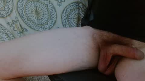 thiswillbefun783025 online show from 02-04-26, 12:05