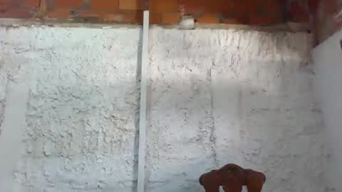 Tifany online show from 02-11-25, 04:24