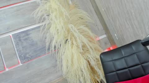 Tiffany online show from 02-05-25, 07:50