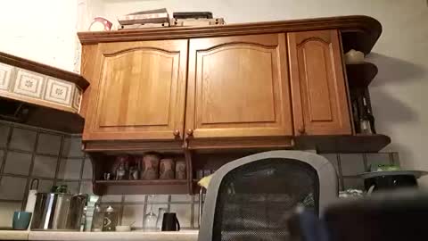 tigermatt76e online show from 03-01-26, 06:32