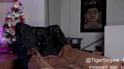 Snapshot of tigerstripes_ chatting on 12-29-24, 03:22 Chris online show from 12-29-24, 03:22