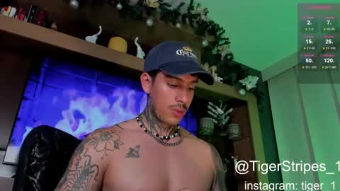 Snapshot of tigerstripes_ chatting on 01-08-25, 02:25 Chris online show from 01-08-25, 02:25