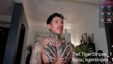 Snapshot of tigerstripes_ chatting on 02-28-25, 12:43 Chris online show from 02-28-25, 12:43