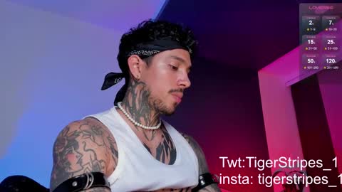 Snapshot of tigerstripes_ chatting on 03-11-25, 10:42 Chris online show from 03-11-25, 10:42