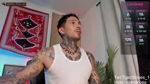 Snapshot of tigerstripes_ chatting on 03-04-26, 01:11 Chris online show from 03-04-26, 01:11