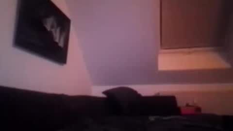 tigertrance online show from 11-17-25, 01:55