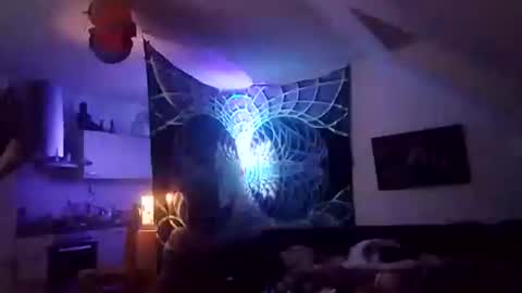 tigertrance online show from 12-02-25, 12:49