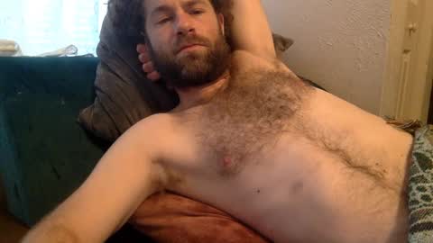 tigerzaddy online show from 12-08-24, 02:41