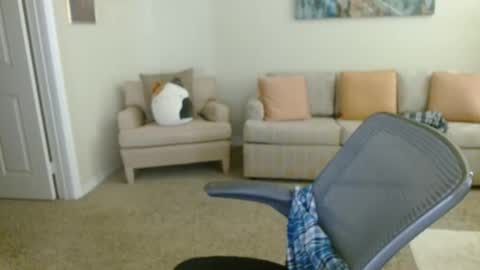 Snapshot of timealone120000 chatting on 01-11-26, 08:03 timealone120000 online show from 01-11-26, 08:03