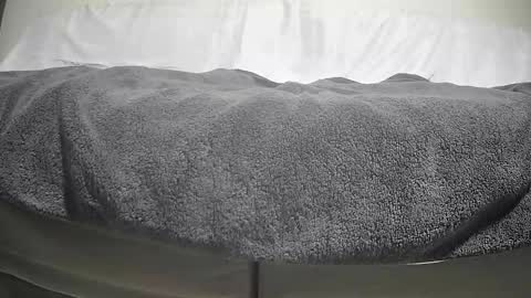 Casey online show from 09-29-25, 04:12