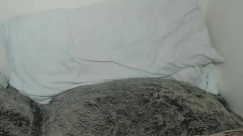 Tina online show from 02-09-25, 09:49