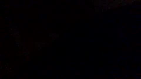 Tiny Jack online show from 12-14-24, 10:34