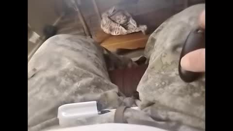 tjllagwbggrr online show from 02-03-26, 05:16